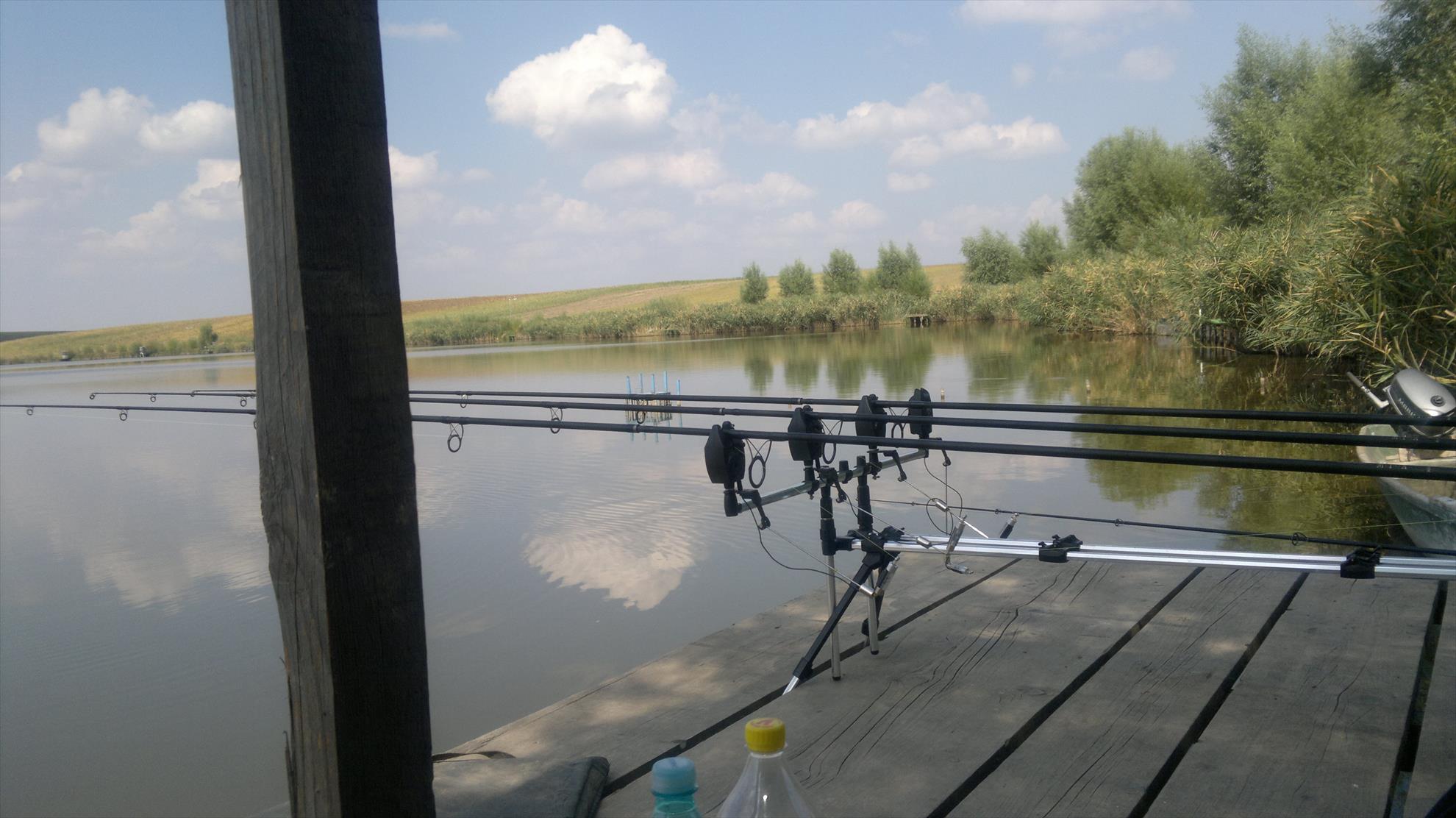 Diverse - 2013-08-25-146.jpg